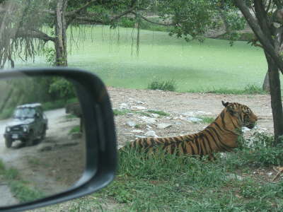 2005_0731(019))- Safari World