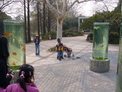 Shanghai Zoo