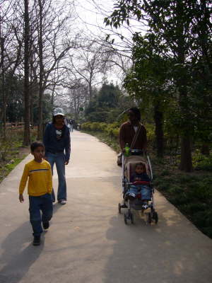 Family walk